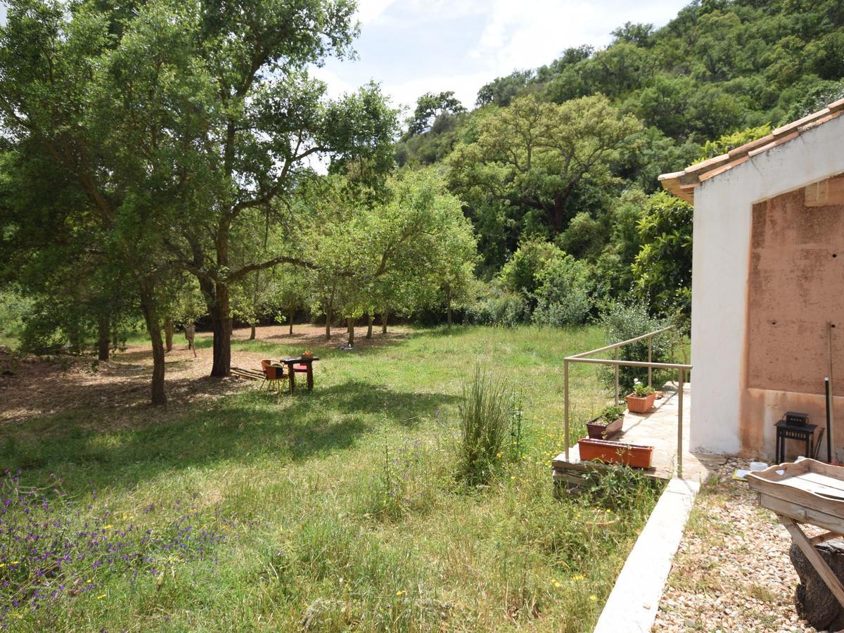 Quiet And Cottage In The Estate Casas Da Cerca Troviscais Zewnętrze zdjęcie